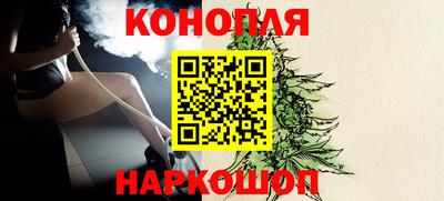 стаф Пенза