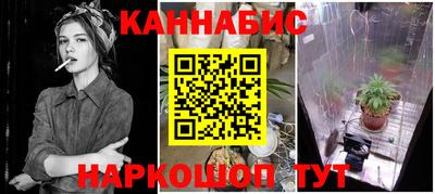 стаф Пенза