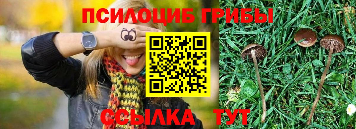 Псилоцибиновые грибы MAGIC MUSHROOMS  Псилоцибиновые грибы MAGIC MUSHROOMS  Волхов  Вход с VPN 